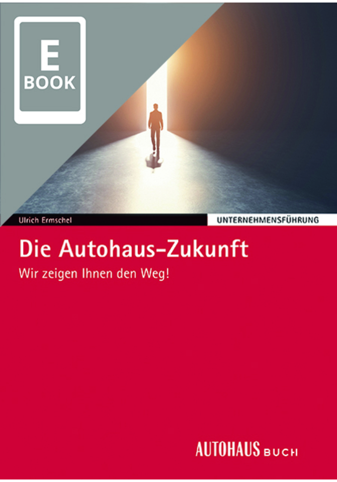 Die Autohaus-Zukunft (E-Book)