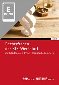 Rechtsfragen der Kfz-Werkstatt  (E-Book)